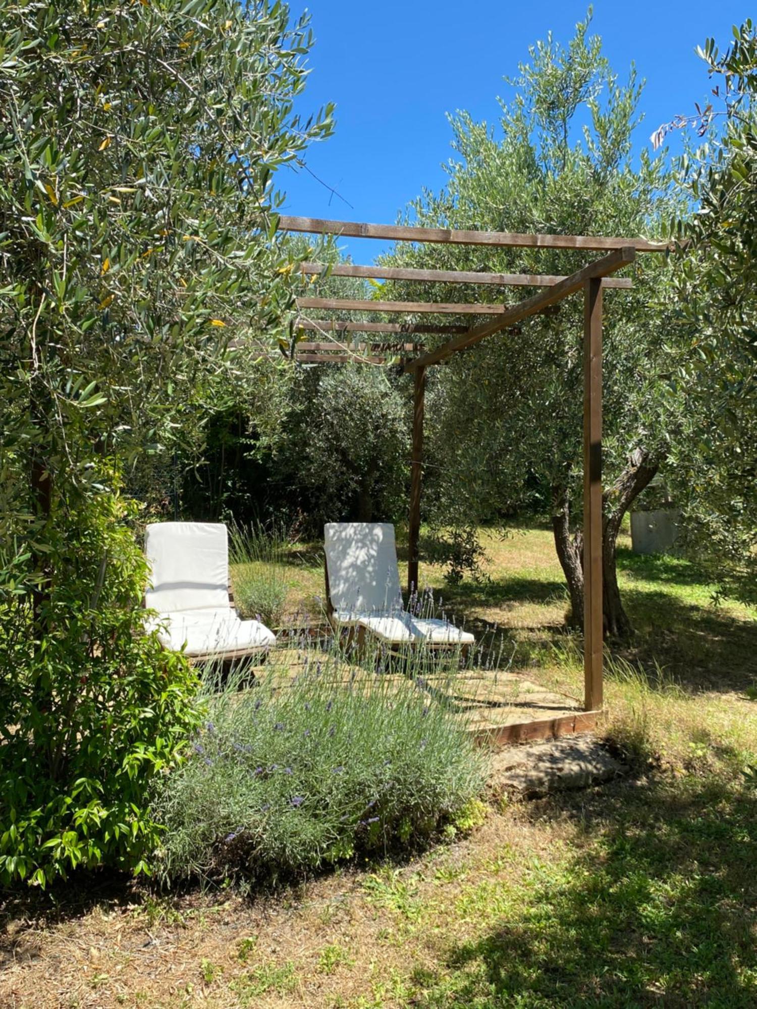Case Nell' Aia Poggibonsi Extérieur photo